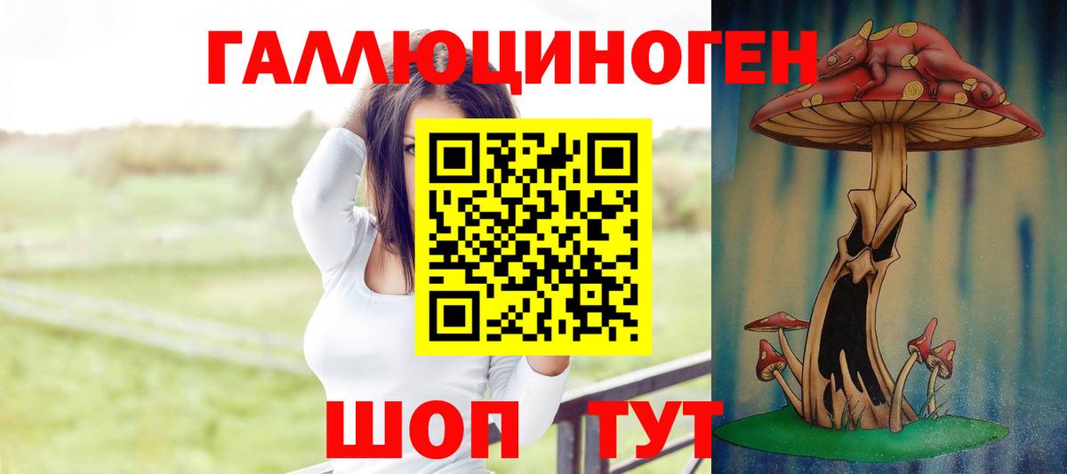 Псилоцибиновые грибы MAGIC MUSHROOMS  Вход с VPN  Электросталь 